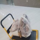 백승진농장 네이버블로그