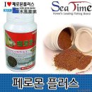 붕어타임 - 완도군 | 붕어타임