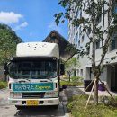 선산대로-3 이미지