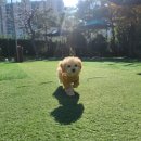 스토리 멍 이미지