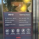 나만 보기 아까운 전시회 추천 :: 디즈니 100년 특별전 보고 온 후기! (K현대미술관 근처 주차 꿀팁)