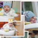 헤누 Daum카페