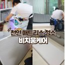 카페트세탁 스팀지니 | 천안 매트리스 청소 비치움 케어 아기있는 집 만족후기