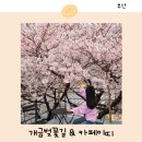 이마트24 부산개금점 | 부산 벚꽃명소 지도 개금벚꽃길 카페이띠 주차 주말