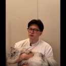 강화먹방 이미지
