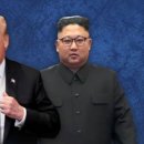 돼지끼리