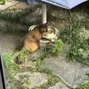 백천약국 | [기록] 지독하던 여름이 끝나고 코끝에 가을이 앉았다.8