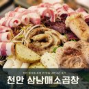 [천안맛집]삼남매소곱창:천안 용곡동 맛집:소곱창맛집:천안 뒷고기맛집:내돈내산