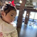 일산중앙화장실 | 일산 아이와 가볼만한곳｜포레스트아웃팅스 아기랑 평일 방문 후기 (유모차·주차·이유식)