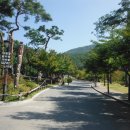 용인자연휴양림 야영장 이미지