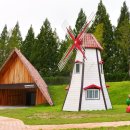 메타세쿼이아랜드 이미지