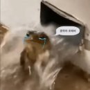 전주설렁탕 이미지