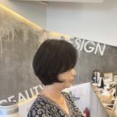 솔비헤어라인 | 나겸헤어 2호점 솔비쌤 보브컷 단정하면서도 우아한 단발 레이어드