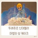 마법의 성 | 뚜레쥬르 신데렐라 마법의 성 케이크 구매후기