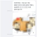 ③ 셀프 부분수리로 결정! - 숨고에서 도배, 필름, 중문 견적 문의하고 확정한 후기