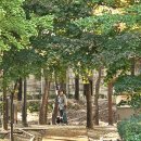 소풍길 들꽃산책 이미지