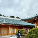 [33주-37주] 2024년 청룡의 해가 밝고 출산휴가 시작!😎👍🏻(셀프만삭홈스냅, 산전마사지, 아기손수건빨래...