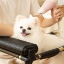 그룸그룸 이미지