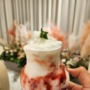 Biscuit 비스퀴 이미지