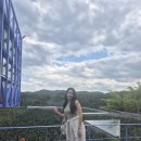 하슬라빈티지 | 강릉 가볼만한곳 하슬라아트월드 솔직 후기｜포토존 인생샷 & 감성 사진 스팟 총정리 (사진多)