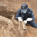 신원상사 이미지