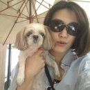 롯데분당로렌랄프로렌