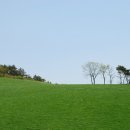 푸른들목장 이미지