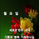 ●간추린 아침뉴스 및운세● 이미지