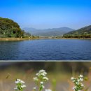 두메낚시터 이미지