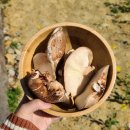 옥계마을회영농조합법인 | 거제도 봄을 만끽하는 캠핑 여행