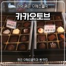 카카오토브 이미지