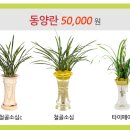 휴병원 이미지