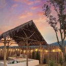 스테이오후열시 이미지