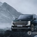 뉴 부영카 이미지