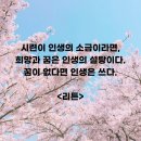인생을 글로 쓰다 이미지