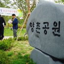 양촌(어린이)공원 이미지