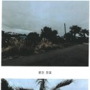 흥산초등학교 | 제주경매. 서귀포 신흥리 (2024타경124) 감정평가 보는 방법