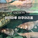 아라공원 | 사천아쿠아리움 아라마루 가격 할인 통합권 주차 가볼만한곳 추천 후기
