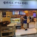샐러리오 네이버블로그
