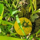 도경농장 이미지