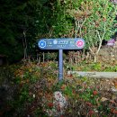 저도연륙교밑 해안도로 | 남파랑길 36코스, 남해바래길 3코스 동대만길 사천 삼천포대교-단항-당항-서대임도-남해 창선파출소...