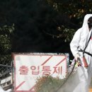 대발농장 이미지