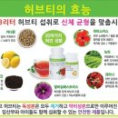 행복사랑드림점핑클럽