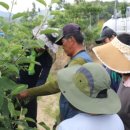 홍천군농업기술센터 이미지