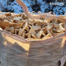 화성톱밥