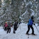 02/10/2024 Pacific Crest National Scenic Trail -- Old Commonwealth Trail 이미지