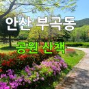 성호공인중개사사무소 이미지