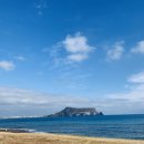 제주안안민박 이미지