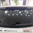 카스토어 이미지