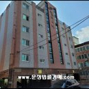 펠리시떼 이미지